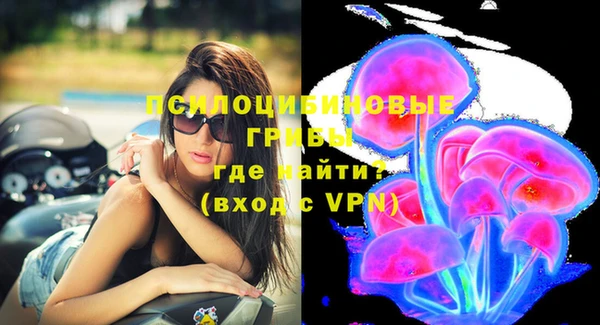дживик Балахна