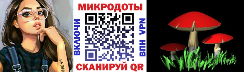 blacksprut ONION  Фёдоровский  Псилоцибиновые грибы мицелий 
